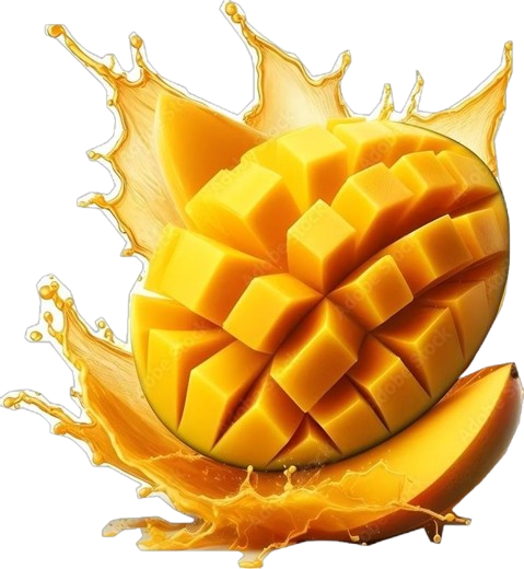 image_not_found